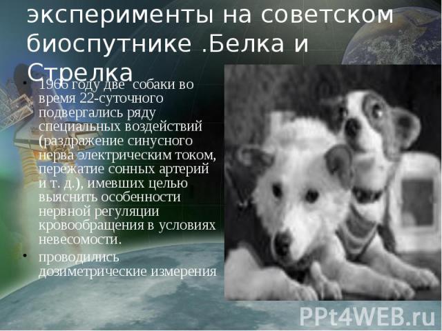 эксперименты на советском биоспутнике .Белка и Стрелка 1966 году две собаки во время 22-суточного подвергались ряду специальных воздействий (раздражение синусного нерва электрическим током, пережатие сонных артерий и т. д.), имевших целью выяснить о…