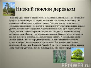 Низкий поклон деревьям Наши предки славяне жили в лесу. В самом прямом смысле. Л