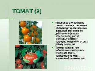 ТОМАТ (2) Регулярное употребление свежих плодов и сока томата стимулирует кровет