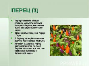 ПЕРЕЦ (1) Перец считается самым древним культивируемым овощем Америки, его семен