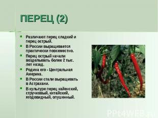 ПЕРЕЦ (2) Различают перец сладкий и перец острый. В России выращивается практиче