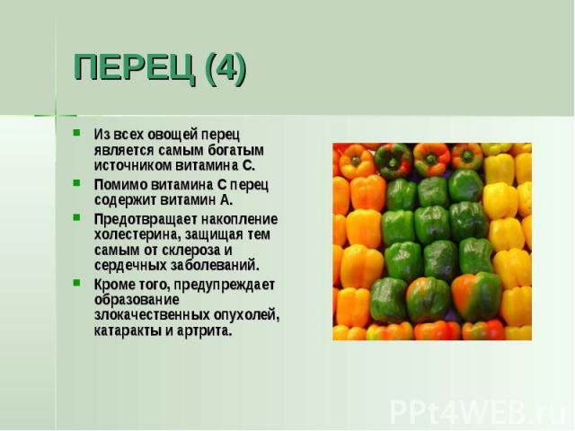 ПЕРЕЦ (4) Из всех овощей перец является самым богатым источником витамина C.Помимо витамина C перец содержит витамин A.Предотвращает накопление холестерина, защищая тем самым от склероза и сердечных заболеваний. Кроме того, предупреждает образование…
