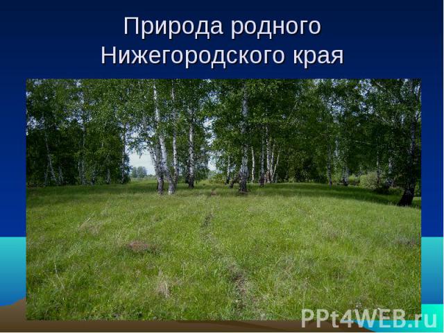 Природа родного Нижегородского края