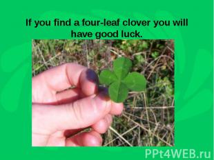 If you find a four-leaf clover you will have good luck.
