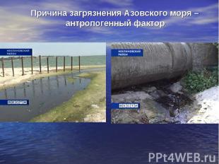 Причина загрязнения Азовского моря – антропогенный фактор