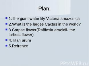 Plan: 1.The giant water lily Victoria amazonica2.What is the larges Cactus in th