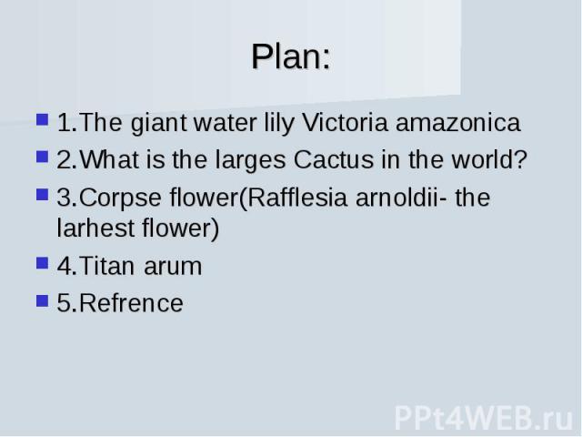 Plan: 1.The giant water lily Victoria amazonica2.What is the larges Cactus in the world?3.Corpse flower(Rafflesia arnoldii- the larhest flower)4.Titan arum 5.Refrence