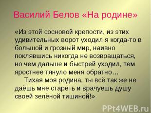 Василий Белов «На родине» «Из этой сосновой крепости, из этих удивительных ворот