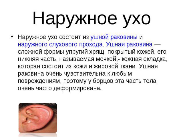 Наружное ухо Наружное ухо состоит из ушной раковины и наружного слухового прохода. Ушная раковина — сложной формы упругий хрящ, покрытый кожей, его нижняя часть, называемая мочкой,- кожная складка, которая состоит из кожи и жировой ткани. Ушная рако…