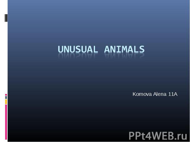 Unusual animals Komova Alena 11A