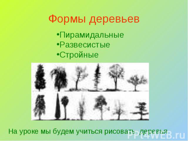 Формы деревьев ПирамидальныеРазвесистыеСтройныеНа уроке мы будем учиться рисовать деревья
