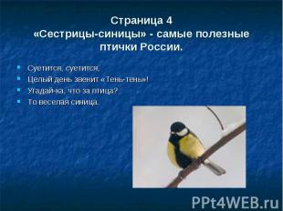 Страница 4«Сестрицы-синицы» - самые полезные птички России. Суетится, суетится,Ц