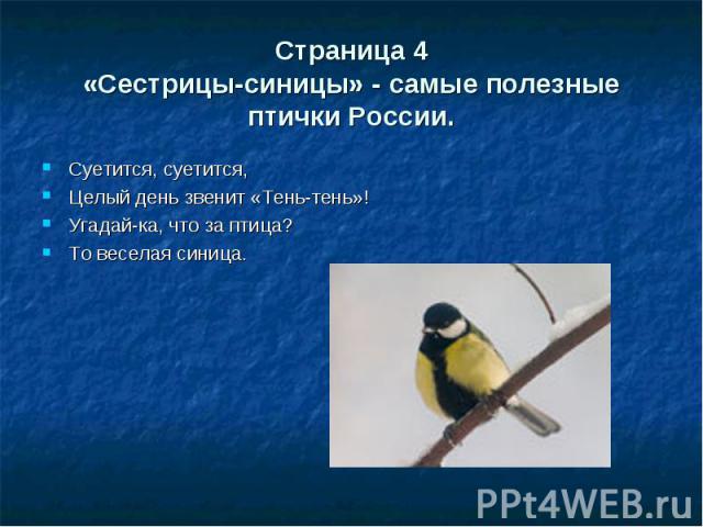 Страница 4«Сестрицы-синицы» - самые полезные птички России. Суетится, суетится,Целый день звенит «Тень-тень»!Угадай-ка, что за птица?То веселая синица.