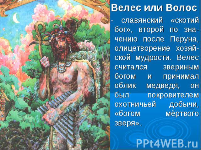 Велес или Волос - славянский «скотий бог», второй по зна- чению после Перуна, олицетворение хозяй- ской мудрости. Велес считался звериным богом и принимал облик медведя, он был покровителем охотничьей добычи, «богом мёртвого зверя».