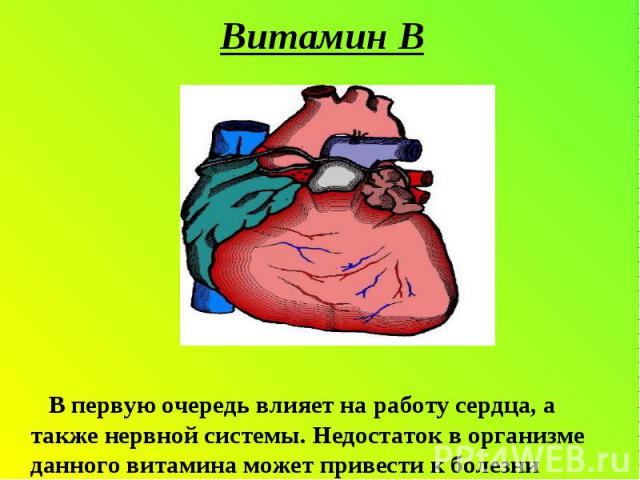 Витамин В В первую очередь влияет на работу сердца, а также нервной системы. Недостаток в организме данного витамина может привести к болезни «Бери-бери»!