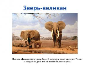 Зверь-великанВысота африканского слона более 4 метров, а весит он почти 7 тонн и