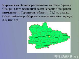 Курганская область расположена на стыке Урала и Сибири, в юго-восточной части За