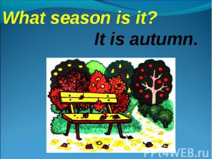 What season is it?It is autumn.