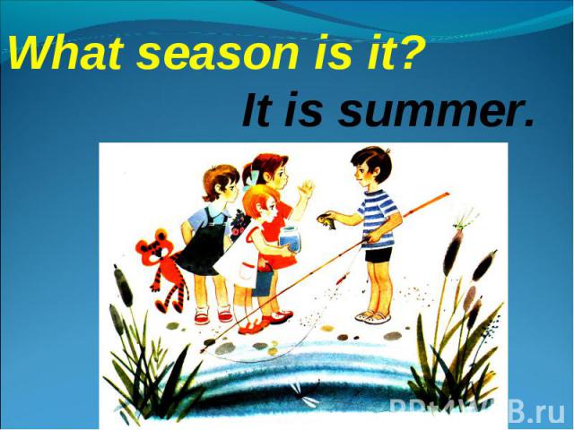 What season is it?It is summer.