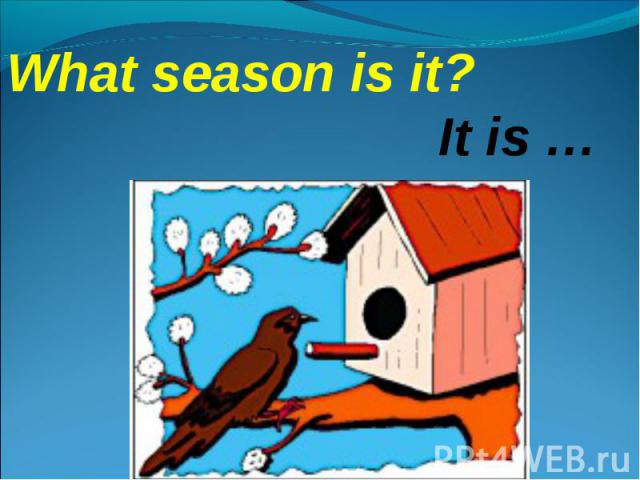 What season is it?It is …