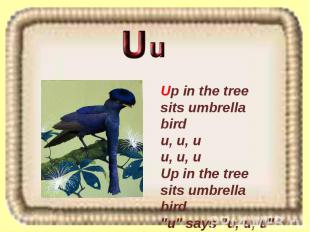 Up in the tree sits umbrella bird u, u, u u, u, u Up in the tree sits umbrella b