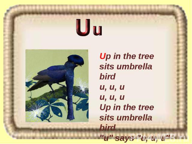 Up in the tree sits umbrella bird u, u, u u, u, u Up in the tree sits umbrella bird 