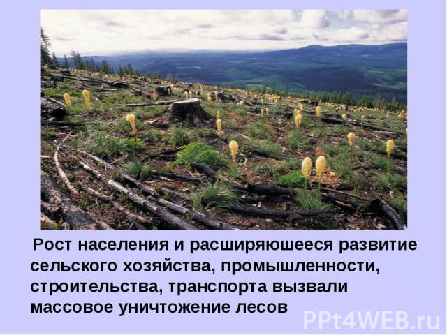 Рост населения и расширяюшееся развитие сельского хозяйства, промышленности, строительства, транспорта вызвали массовое уничтожение лесов
