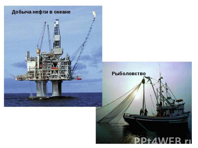Добыча нефти в океане Рыболовство