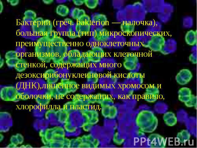 Бактерии (греч. bakterion — палочка), большая группа (тип) микроскопических, преимущественно одноклеточных организмов, обладающих клеточной стенкой, содержащих много дезоксирибонуклеиновой кислоты (ДНК),лишённое видимых хромосом и оболочки, не содер…