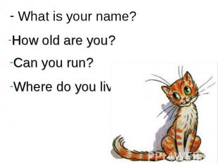 What is your name? How old are you?Can you run?Where do you live?