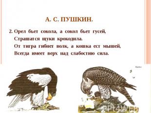 А. С. Пушкин. 2. Орел бьет сокола, а сокол бьет гусей, Страшатся щуки крокодила.
