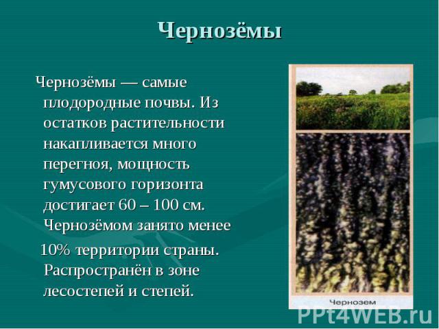 Чернозёмы Чернозёмы — самые плодородные почвы. Из остатков растительности накапливается много перегноя, мощность гумусового горизонта достигает 60 – 100 см. Чернозёмом занято менее 10% территории страны. Распространён в зоне лесостепей и степей.
