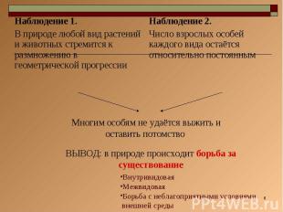 Многим особям не удаётся выжить и оставить потомствоВЫВОД: в природе происходит