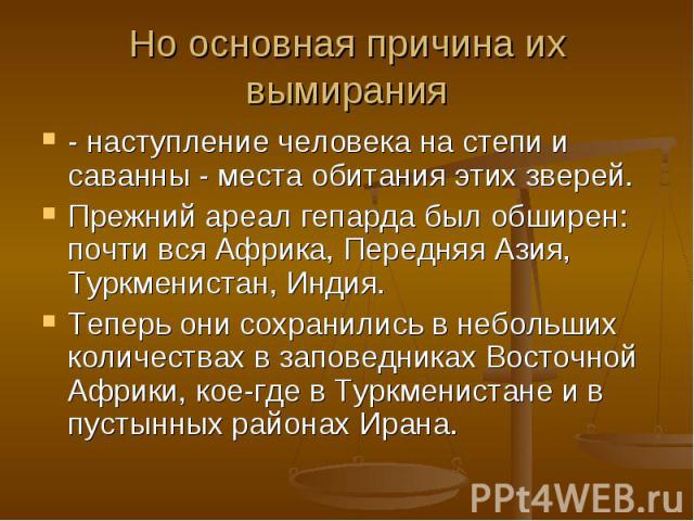 Но основная причина их вымирания - наступление человека на степи и саванны - места обитания этих зверей. Прежний ареал гепарда был обширен: почти вся Африка, Передняя Азия, Туркменистан, Индия. Теперь они сохранились в небольших количествах в запове…