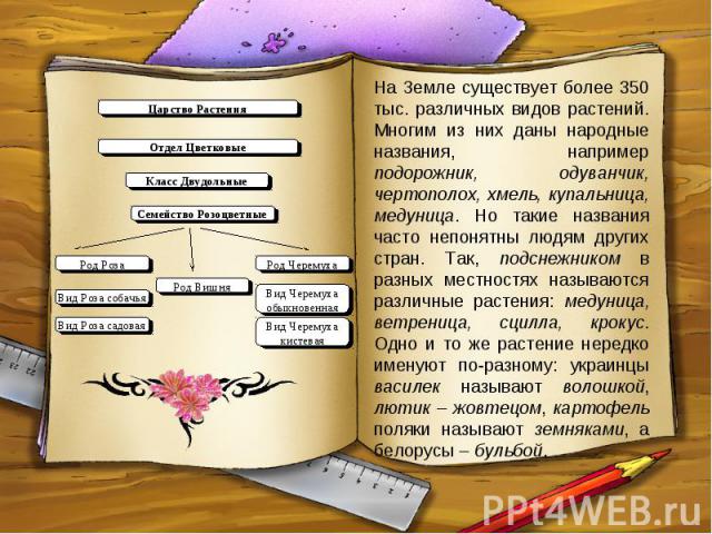 На Земле существует более 350 тыс. различных видов растений. Многим из них даны народные названия, например подорожник, одуванчик, чертополох, хмель, купальница, медуница. Но такие названия часто непонятны людям других стран. Так, подснежником в раз…