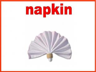 napkin