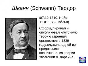 Шванн (Schwann) Теодор (07.12.1810, Нёйс – 11.01.1882, Кёльн) Сформулировал и оп