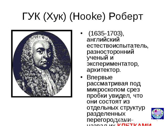 ГУК (Хук) (Hooke) Роберт (1635-1703), английский естествоиспытатель, разносторонний ученый и экспериментатор, архитектор. Впервые рассматривая под микроскопом срез пробки увидел, что они состоят из отдельных структур разделенных перегородками- назва…