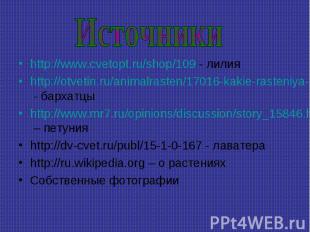Источники http://www.cvetopt.ru/shop/109 - лилияhttp://otvetin.ru/animalrasten/1