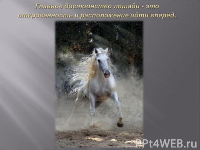 Главное достоинство лошади - это откровенность и расположение идти вперёд. 