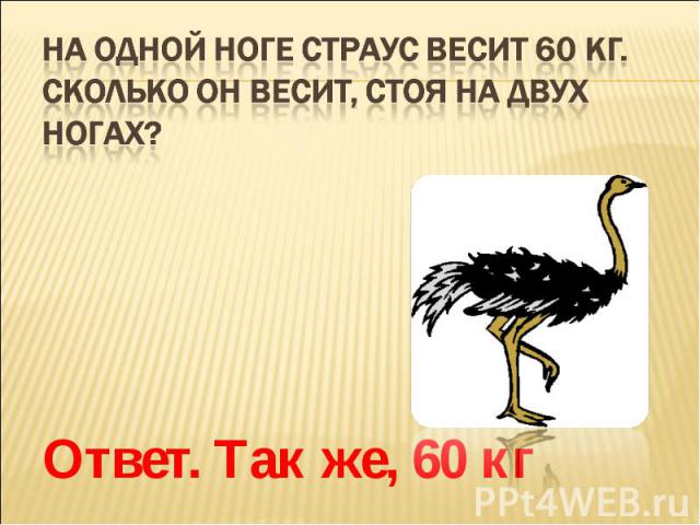 На одной ноге страус весит 60 кг. Сколько он весит, стоя на двух ногах? Ответ. Так же, 60 кг