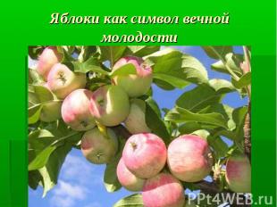Яблоки как символ вечной молодости