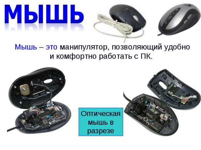 МышьМышь – это манипулятор, позволяющий удобно и комфортно работать с ПК. Оптическая мышь в разрезе