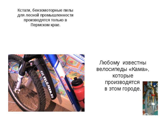 Кстати, бензомоторные пилы для лесной промышленности производятся только в Пермском крае.Любому  известны велосипеды «Кама», которые производятся в этом городе.