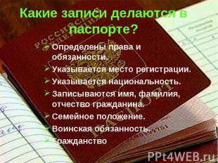 Какие записи делаются в паспорте? Определены права и обязанности.Указывается мес