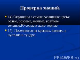 Проверка знаний. 14) Окрашены в самые различные цвета: белые, розовые, желтые, г