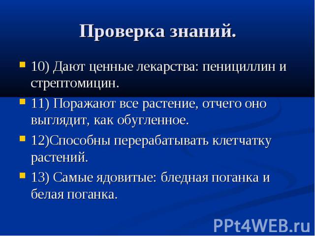 Понятие о природном сообществе биогеоценозе и экосистеме 6 кл презентация