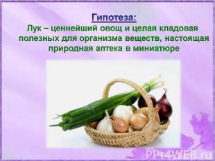 Гипотеза:Лук – ценнейший овощ и целая кладовая полезных для организма веществ, н