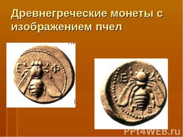 Древнегреческие монеты с изображением пчел