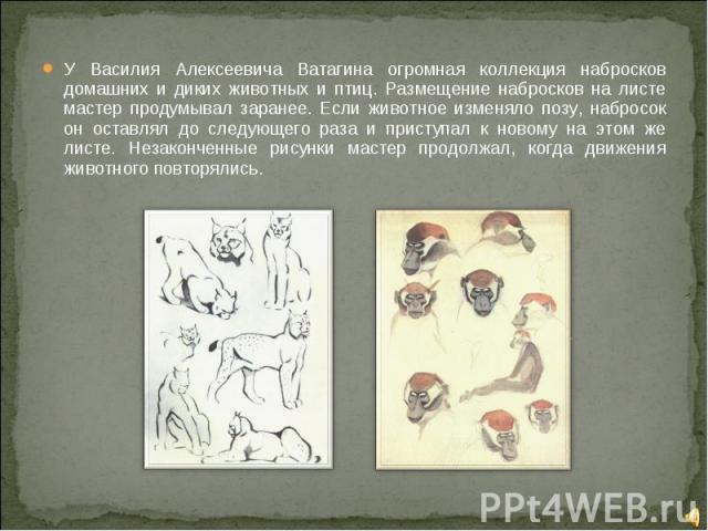 У Василия Алексеевича Ватагина огромная коллекция набросков домашних и диких животных и птиц. Размещение набросков на листе мастер продумывал заранее. Если животное изменяло позу, набросок он оставлял до следующего раза и приступал к новому на этом …